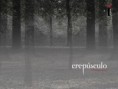 /album/galeria-de-fotos/wall-crepusculo1-1280-jpg1/